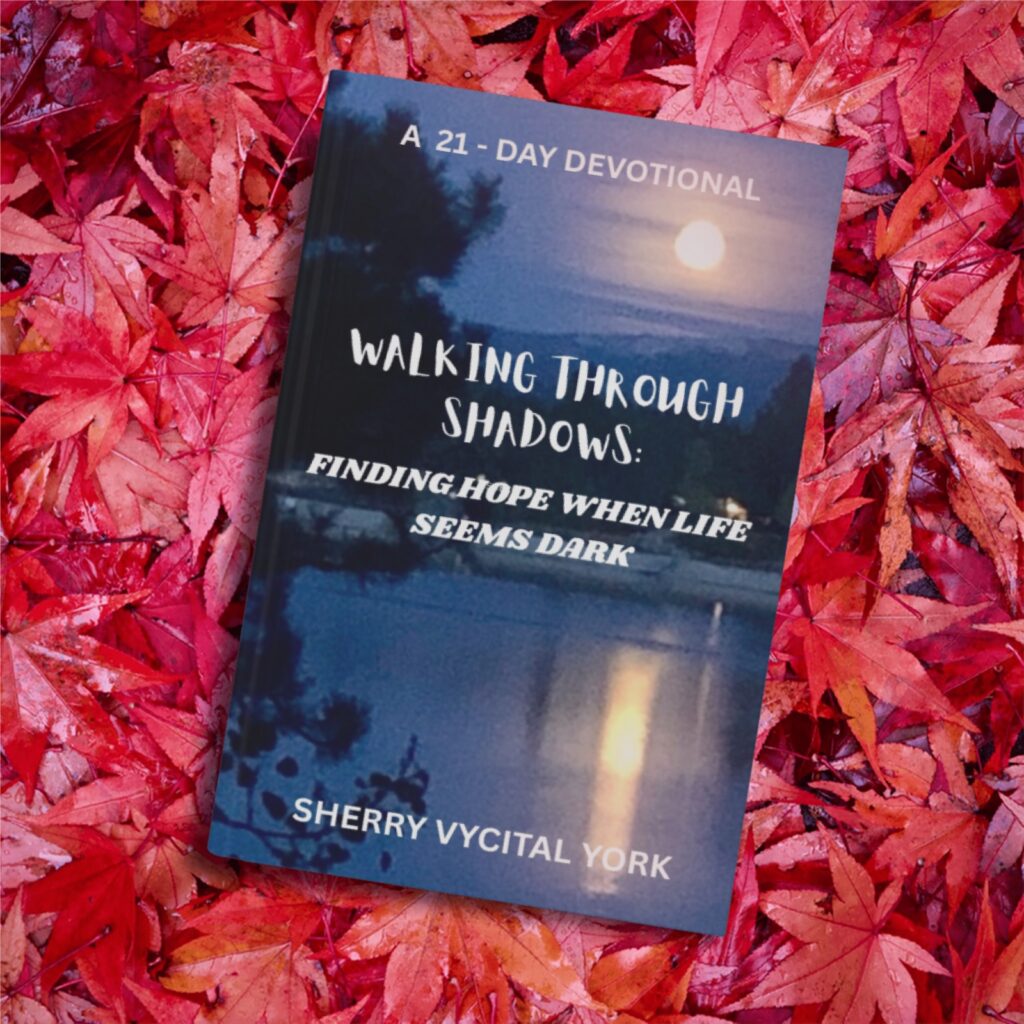 Sherry York, Walking Through Shadows: Finding Hope When Life Feels Dark
